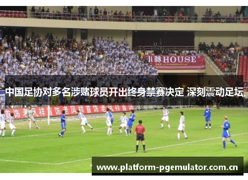 中国足协对多名涉赌球员开出终身禁赛决定 深刻震动足坛 中国足协对多名涉赌球员开出终身禁赛决定 深刻震动足坛