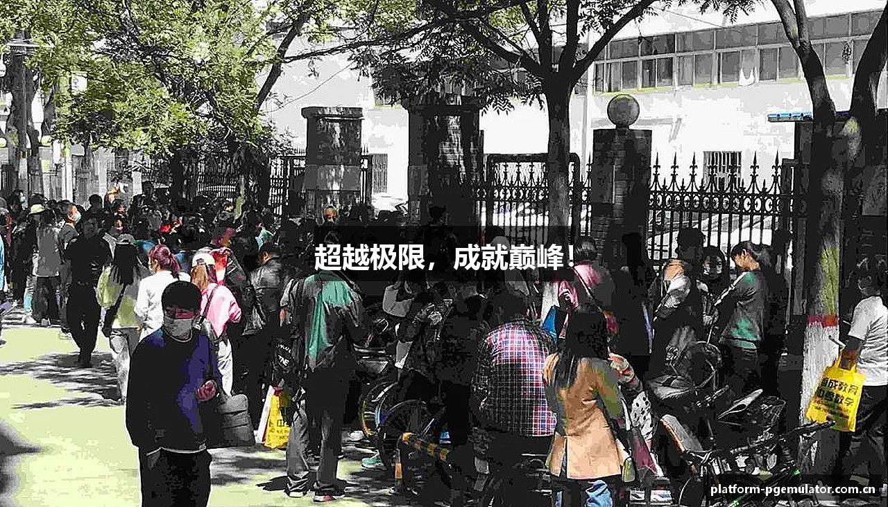 超越极限，成就巅峰！